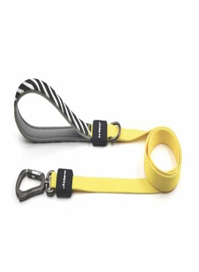 أم-بيتس طوق كلاب M-PETS Wild Safari للكلاب الصغيرة والمتوسطة، طوق متين للمشي في الهواء الطلق مزود بقفل أمان وإبزيم، مقبض ناعم ومريح لقبضة قوية، أنيق، للتدريب والمشي اليومي، صغير/متوسط - Image 2